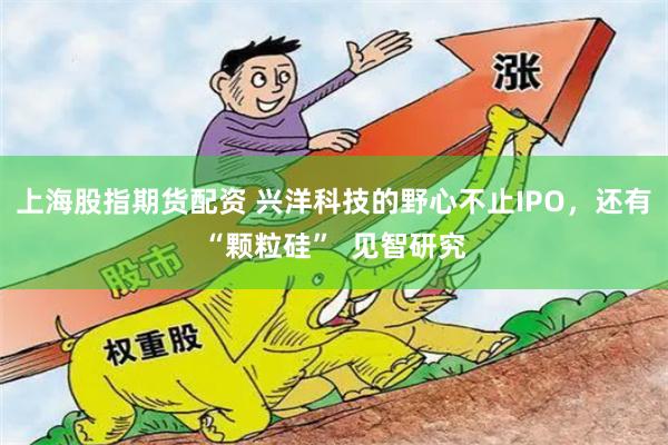 上海股指期货配资 兴洋科技的野心不止IPO，还有“颗粒硅”  见智研究