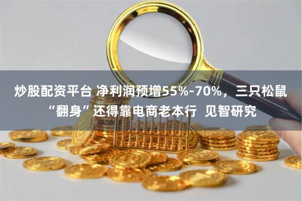 炒股配资平台 净利润预增55%-70%，三只松鼠“翻身”还得靠电商老本行  见智研究