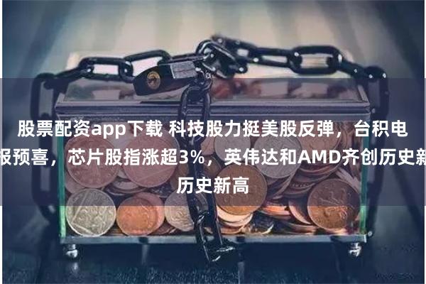 股票配资app下载 科技股力挺美股反弹，台积电财报预喜，芯片股指涨超3%，英伟达和AMD齐创历史新高