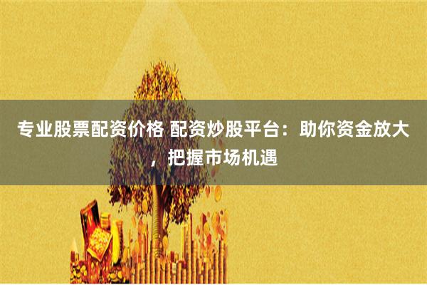 专业股票配资价格 配资炒股平台：助你资金放大，把握市场机遇